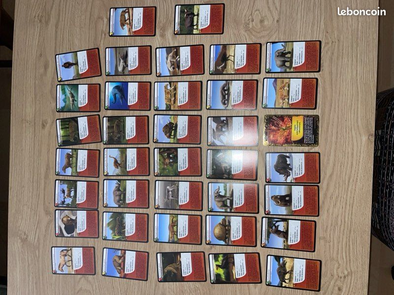 Jeu défis nature : animaux préhistoriques (image 2)