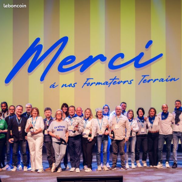 Agent commercial en immobilier (H/F/X) (image 4)
