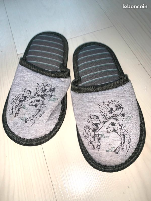 Chaussons dinosaures (image 1)