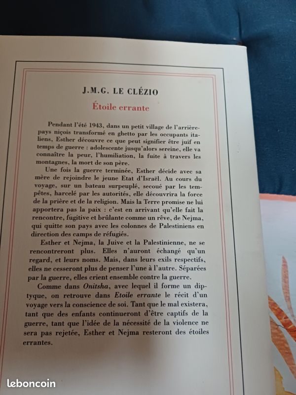 Étoile érrante (image 2)