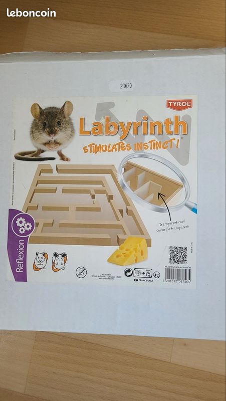 Labyrinthe hamster souris (image 2)