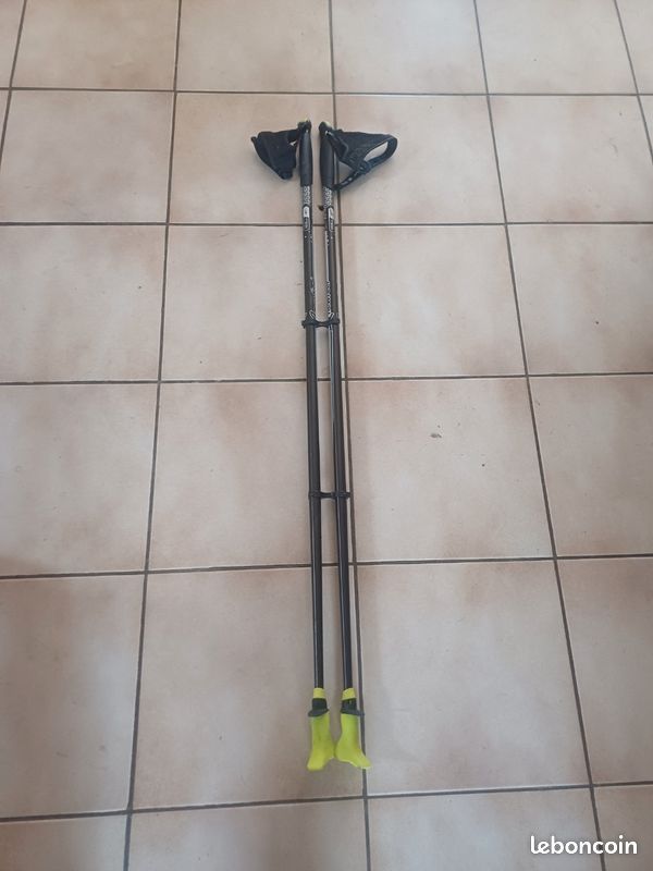 Baton de marche (image 1)