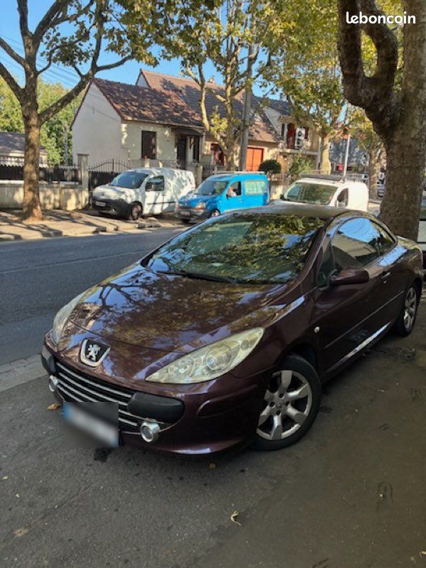 Peugeot 307 CC 2.0 hdi (image 1)