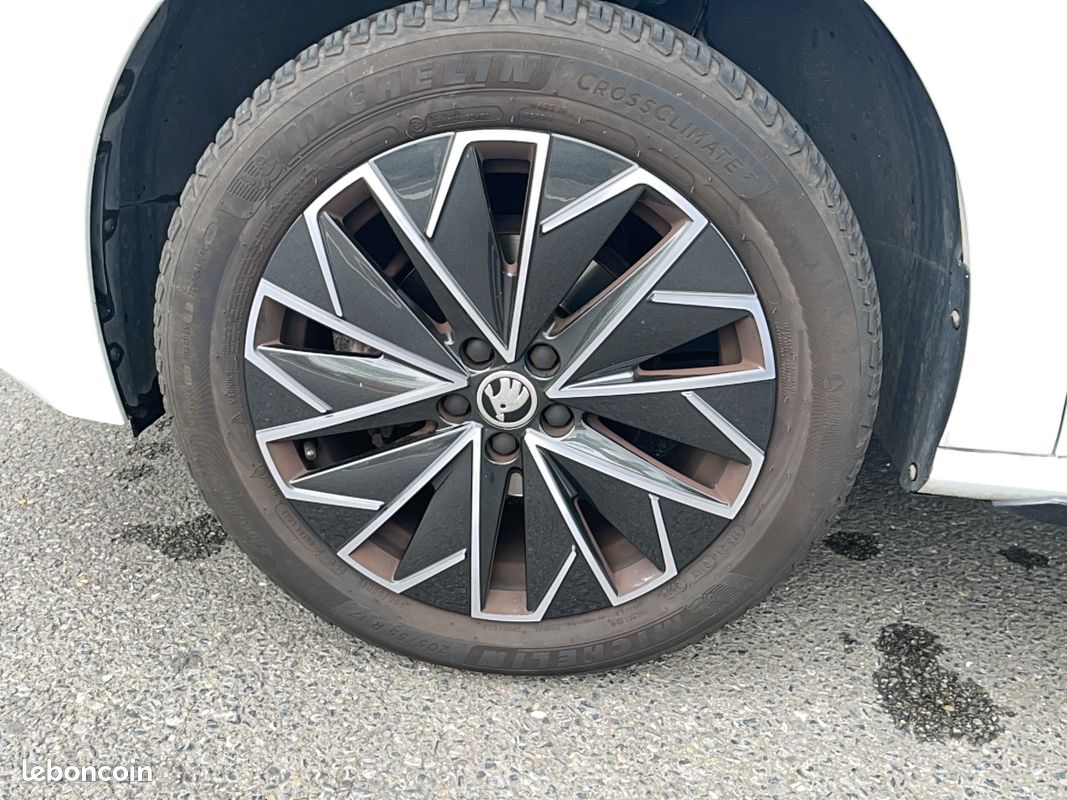 SKODA Kamiq 1.5 TSI 150 ch DSG7 Monte-Carlo (image 10)