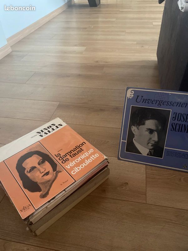 Lot de disques Vinyles (image 8)