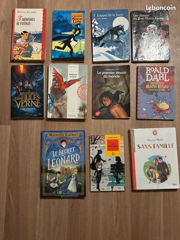 Lot de 13 livres dont 2 neufs (image 1)