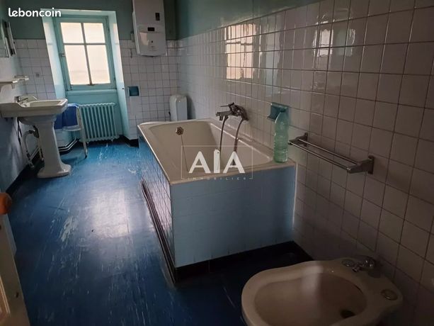 https://img.leboncoin.fr/api/v1/lbcpb1/images/46/95/a1/4695a121d9499b7fe6ac376305035b2ccafeafc2.jpg?rule=ad-image