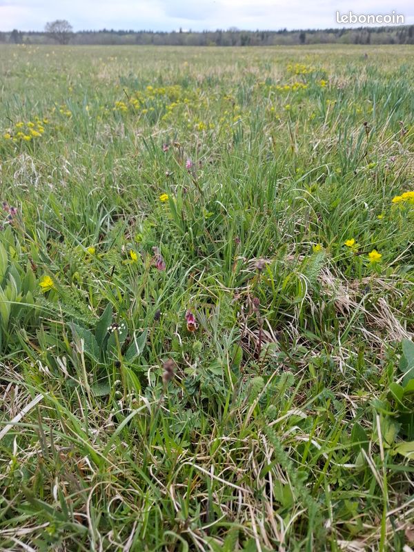 Recherche terrain non constructible · à Foucherans · 10 000 €