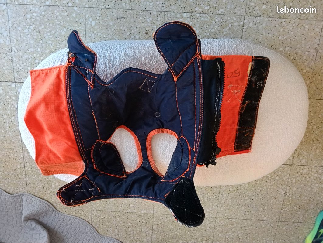 Gilet protection chien (image 3)