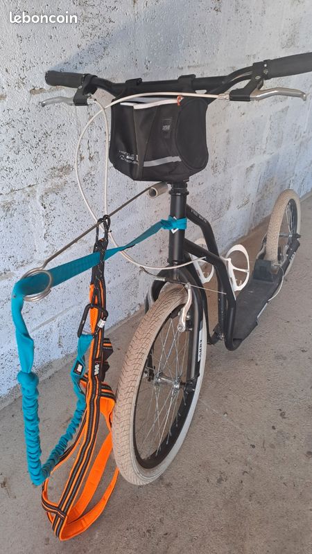 Trotinette adulte (image 2)