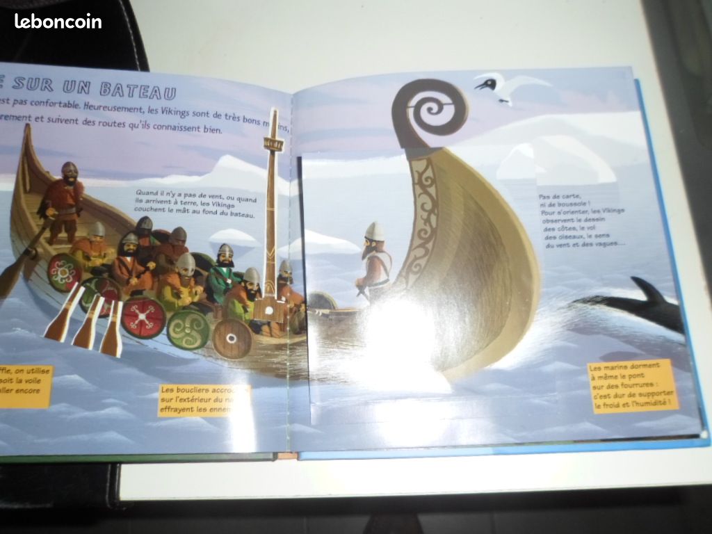 Kididoc les Vikings (image 5)