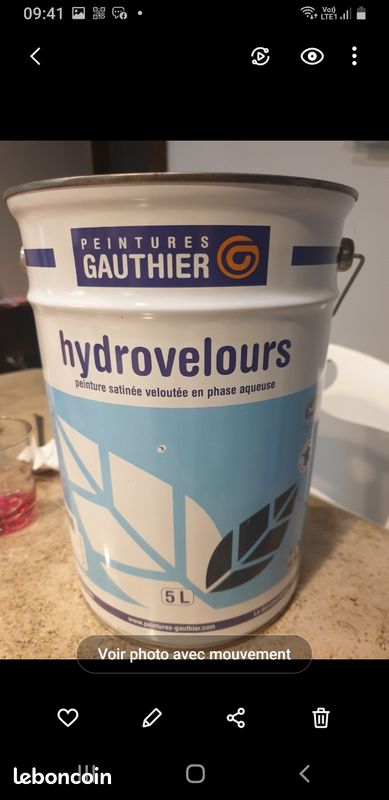 Peinture hydrovelours (image 1)