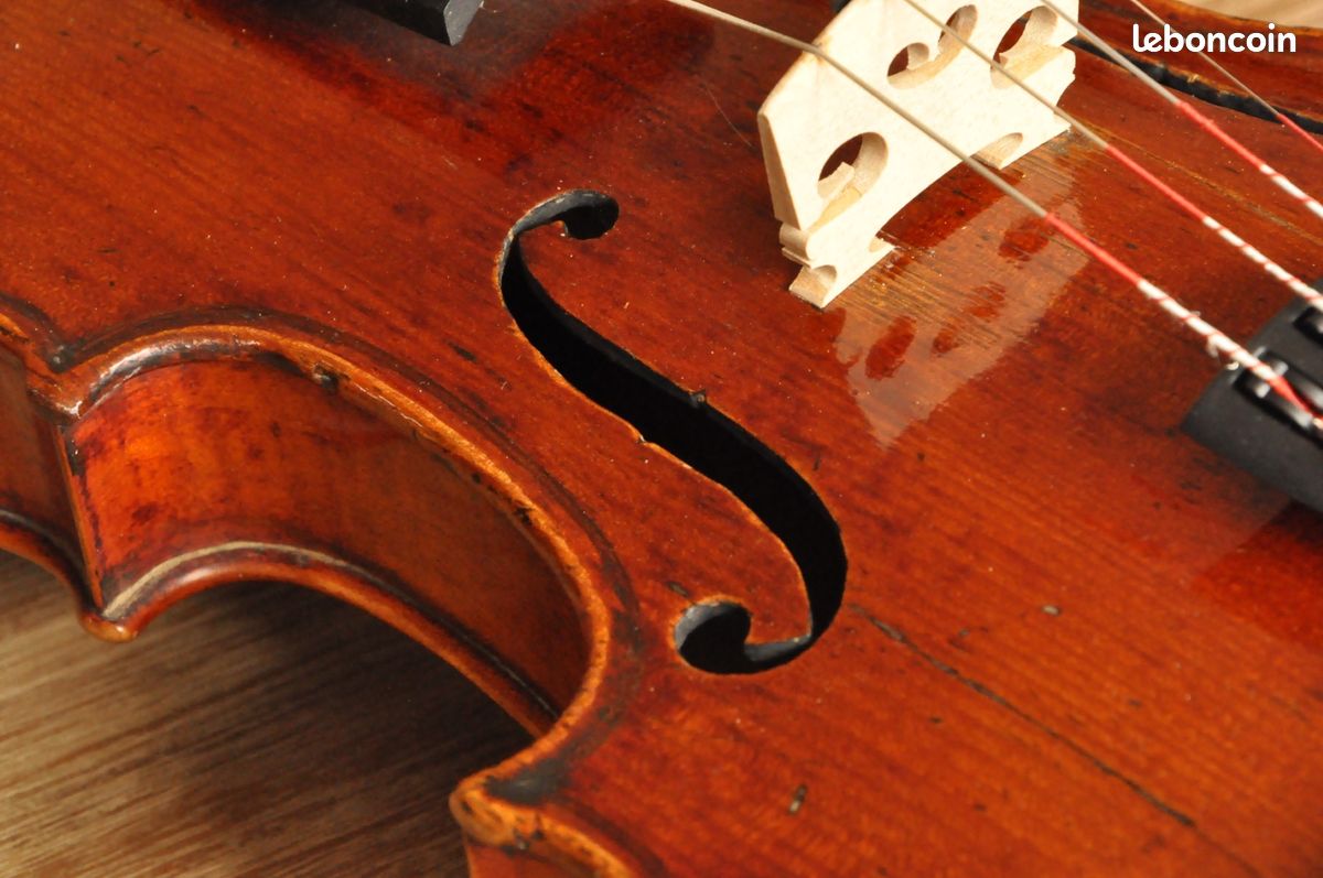 Cours de violon (image 1)