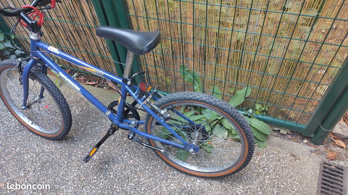 Vélo 20 pouvez (image 2)