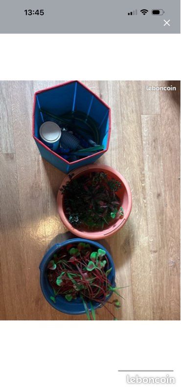 Aquarium (image 3)