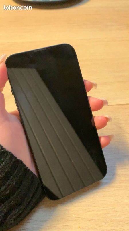 IPhone 13 noir (image 1)