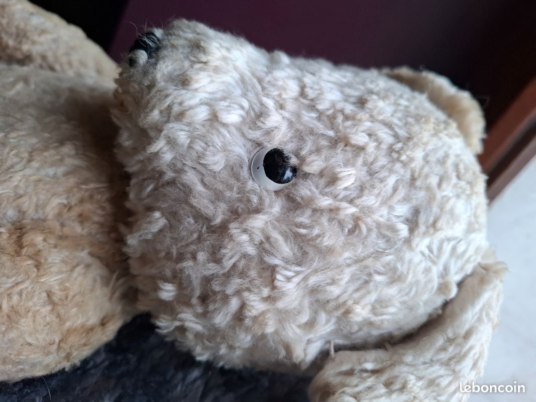 Peluche Ancienne Agneau Ours Laine 1950 - Jouet Rare Allemagne - Sans Marque