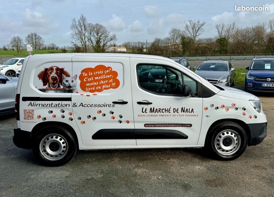Opel Combo Vu FOURGON 1.6 CDTI 100 L1H1 TVA Récupérable Garantie 12 Mois (image 6)