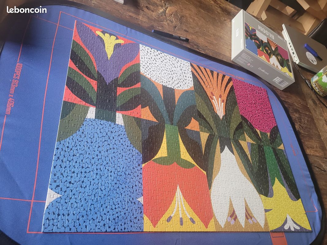 Puzzle 1000 pieces (image 1)