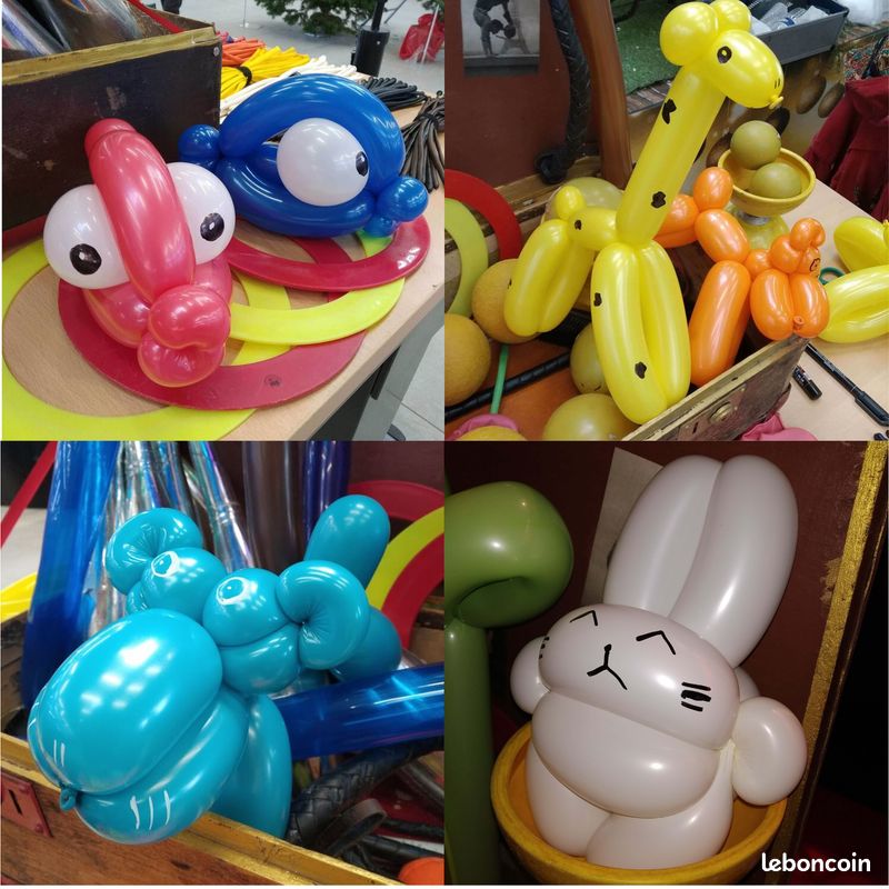 Jongleur et Sculpteur de Ballons (image 3)
