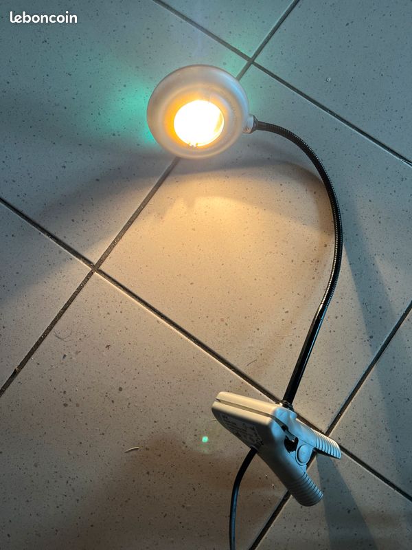 Lampe de bureau à pince (image 1)