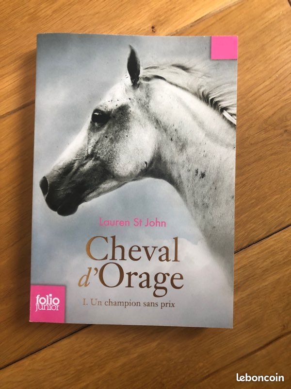 Livre-cheval d’orage (image 1)