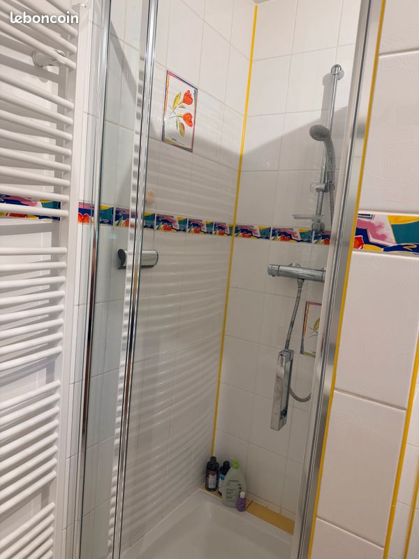 Porte de douche pivotante Vismara (image 2)