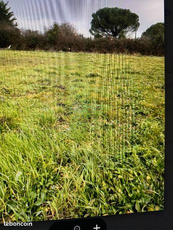 Terrain 20000 m² BLAYE