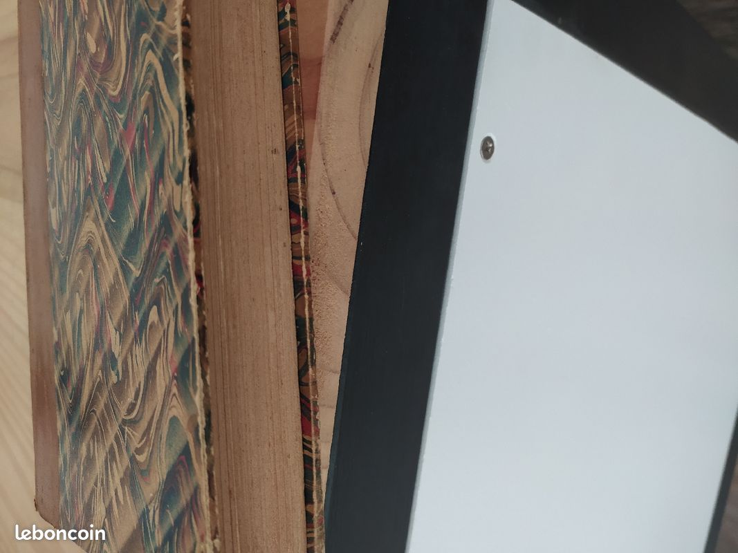 La terre qui meurt livre ancien (image 4)