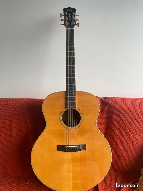 Guitare Folk Acoustique Cort Custom Jumbo (type Martin) - Palissandre Massif (image 1)