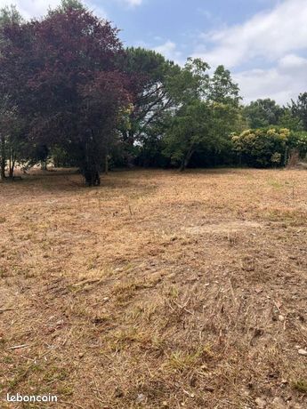 Terrain 1 732 m² Noe