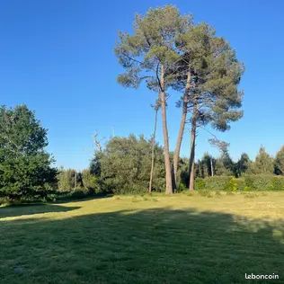 Villa Landaise 5 chambres – Piscine 15x6 – Jardin 7 000 m² – Proche Océan (image 15)