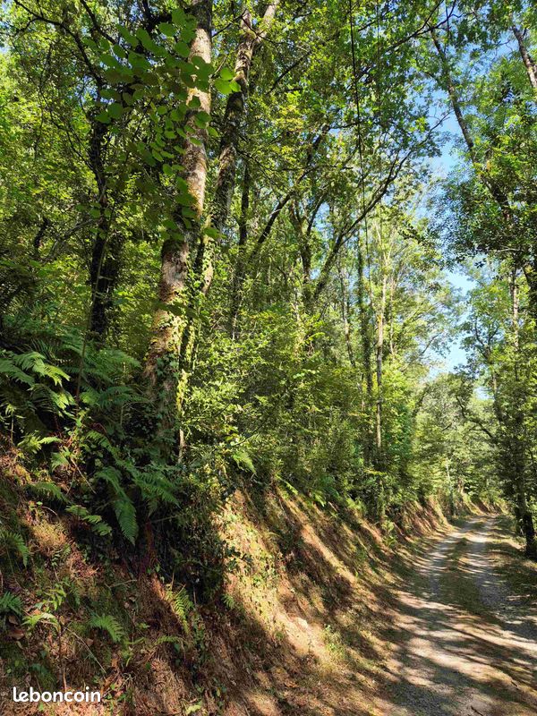 Terrain 33110 m² · à Saint-Jean-Delnous · 33 110 m² · 11 500 €
