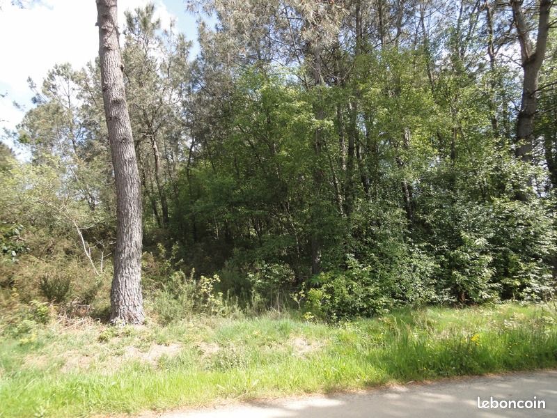 Terrain 8 512 m² Gourin - Ventes immobilières
