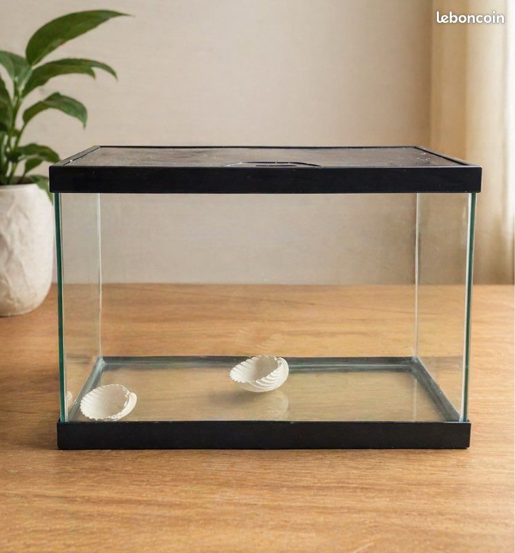 Aquarium en verre avec couvercle – Bon état prix négociable (image 1)