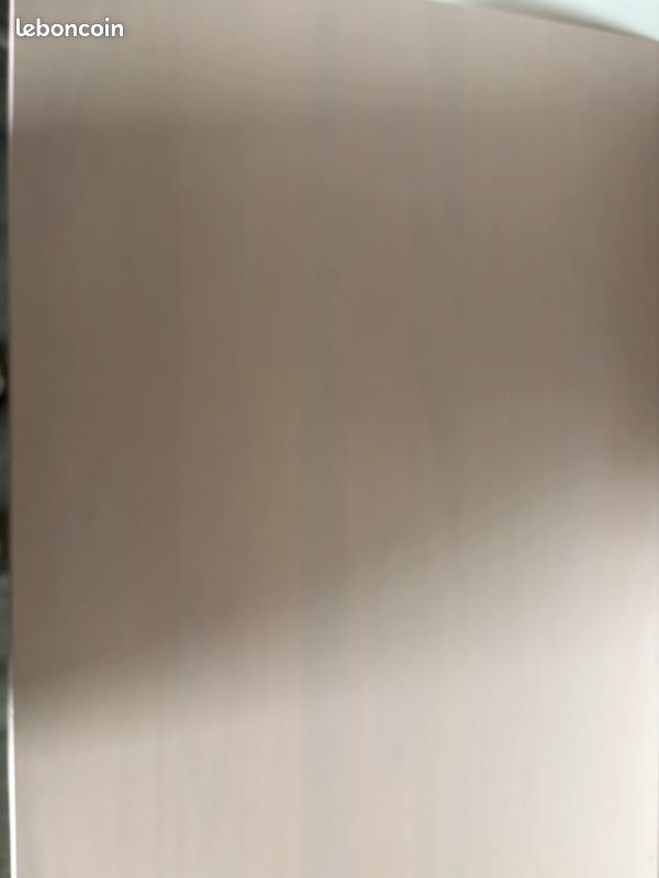 Bureau rose (image 8)