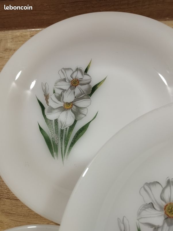 Lot De 6 Assiettes à Dessert Arcopal - Opaline Fleurs Narcisse - Cristal D'Arques 23cm