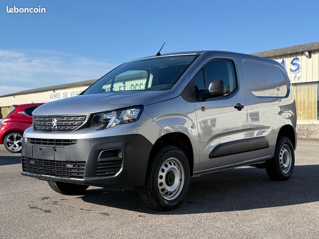 Dangel PARTNER 4X4 DANGEL L1 BLUEHDI 130 4X4 (image 1)