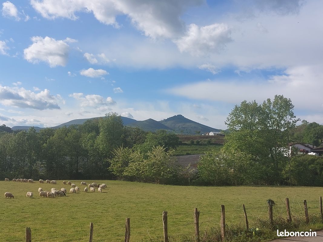 Location (image 1)