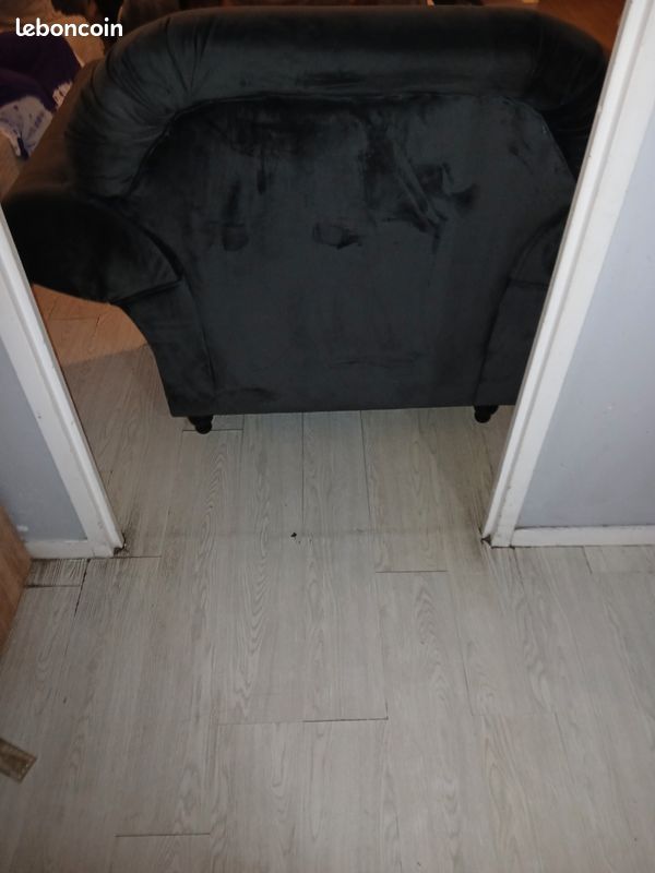 Fauteuil velour (image 4)