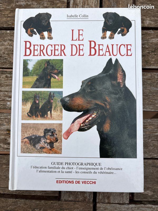 Le berger de Beauce (image 2)