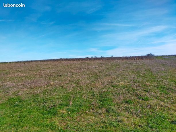 Terrain 800 m² Verrieres