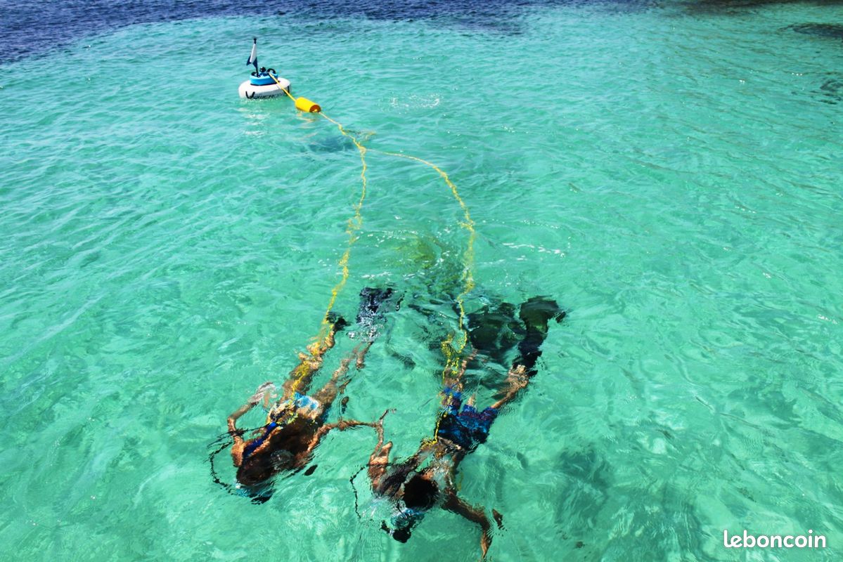 Plongée sous marine (image 3)