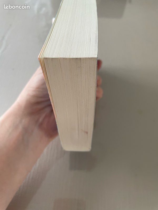 Livre les tribulations d’une jeune divorcée (image 5)
