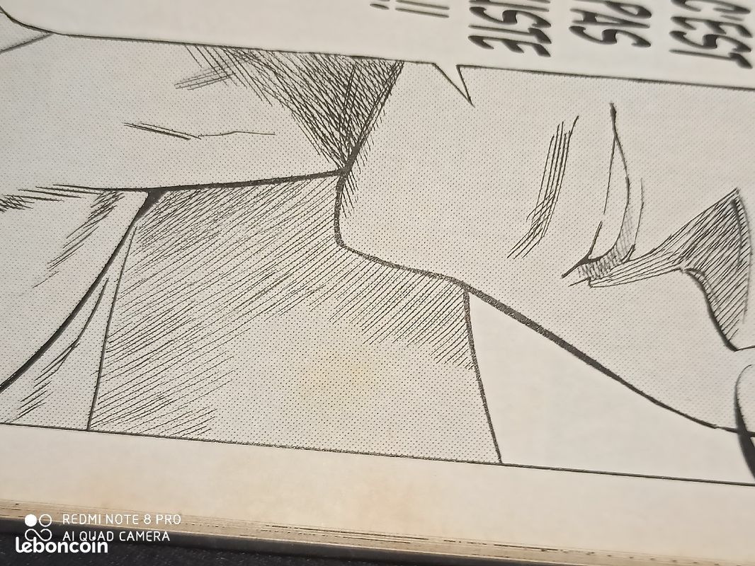 Manga kongoh bancho 1 a 10 ( sur 12 ) (image 7)