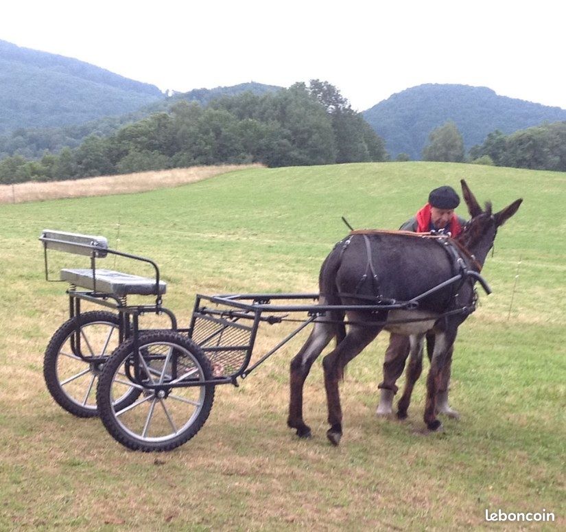 Chariot pour âne ou poney (image 1)