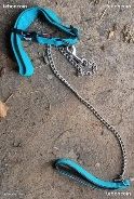 Laisse et collier neufs, marque Martin Sellier, chiens 20/30 kg (image 1)