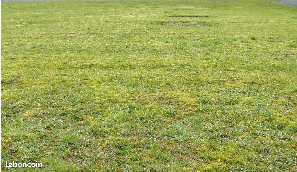 Terrain 760 m² Necy · à Nécy · 34 500 €