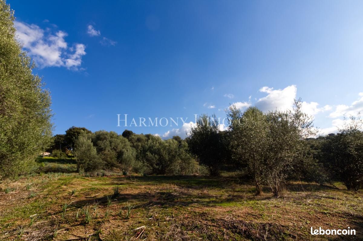 Terrain 934 m² Bastelicaccia · 249 000 €