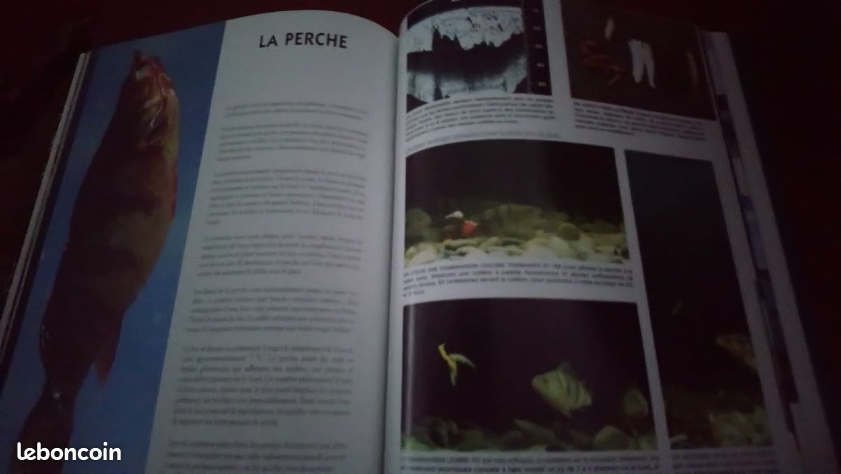 Livres Pêcher en eau douce (image 6)